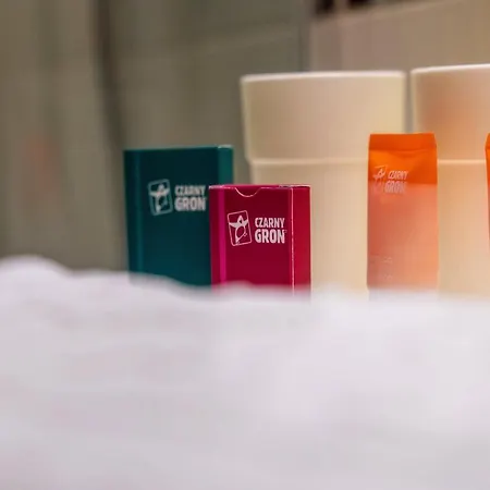 查埃恩格罗恩酒店及spa 4* 日基