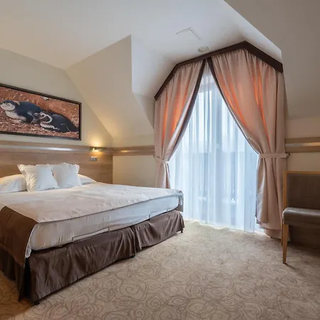 Hotel&spa Czarny Groń