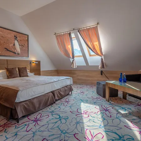 查埃恩格罗恩酒店及spa 4* 日基