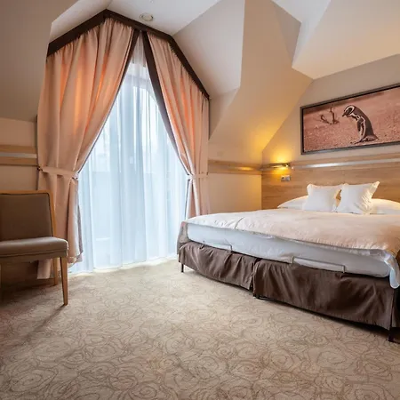 Hotel&spa Czarny Groń 4* Rzyki