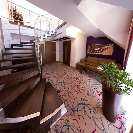 Hotel&spa Czarny Groń Hotel apartamentowy Rzyki