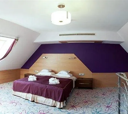 Hotel&spa Czarny Groń 4*