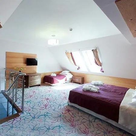 Hotel&spa Czarny Groń Hotel apartamentowy Rzyki