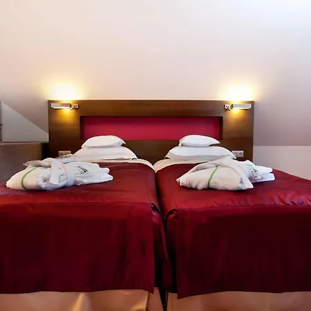 Hotel&spa Czarny Groń Hotel apartamentowy