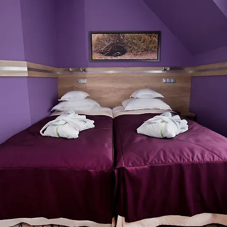 Hotel&spa Czarny Groń 4*