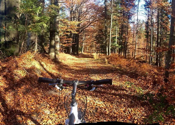 & Czarny Gron Aparthotel 4*