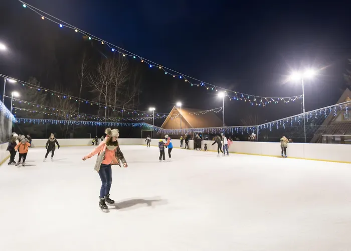 Aparthotel & Czarny Gron