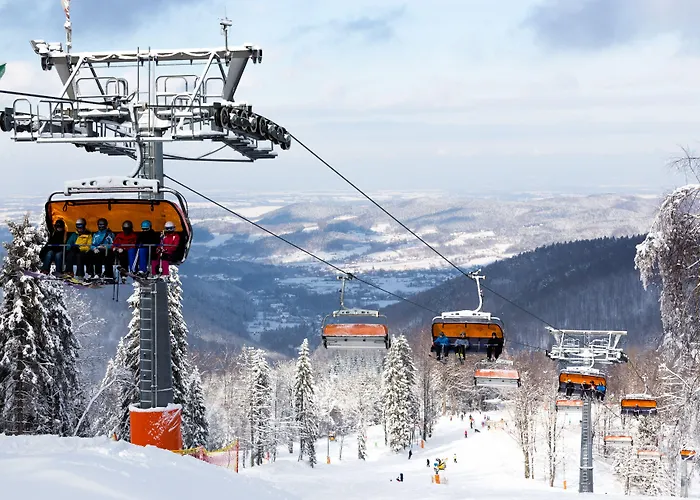 & Czarny Gron Apart Otel